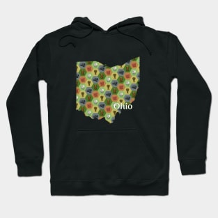 Ohio State Map Board Games Hoodie